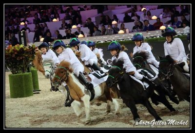 Cheval2014-1954.jpg