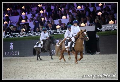 Cheval2014-1962.jpg