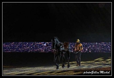 Cheval2014-1260a.jpg