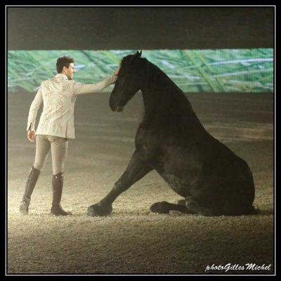 Cheval2014-1285a.jpg