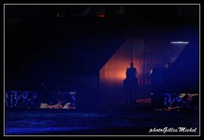 Cheval2014-1286a.jpg