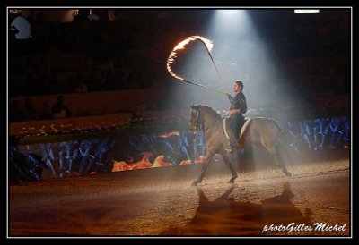 Cheval2014-1323a.jpg