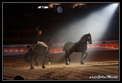 Cheval2014-1342a.jpg