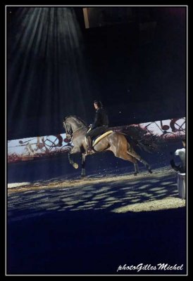 Cheval2014-1356a.jpg