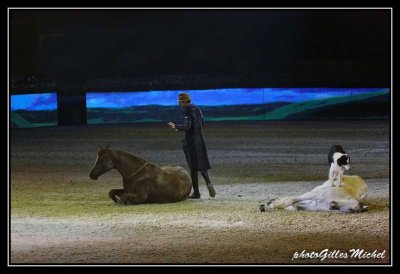 Cheval2014-1374a.jpg