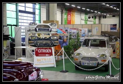 Automedon2015-1217.jpg