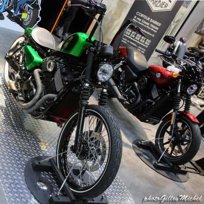 SalonMoto2015_0193.jpg
