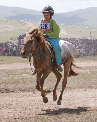 Almost Finished - Naadam Festival Horse Race