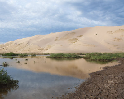Gobi Desert Reflection