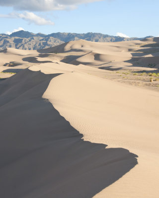 Sand Dune Contrast