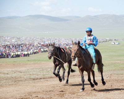 Riderless Horse-Naadam Festival