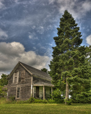 The Pine Tree House