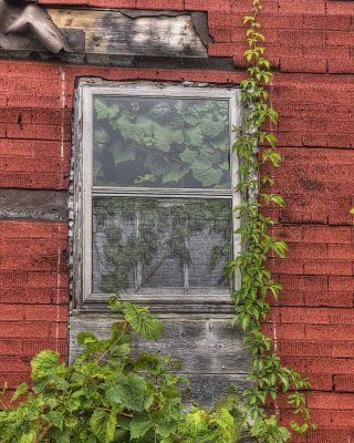 Greenhoouse Window