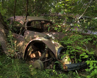 The Old VW out to Pasture