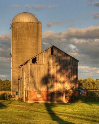 Long Evening Shadows