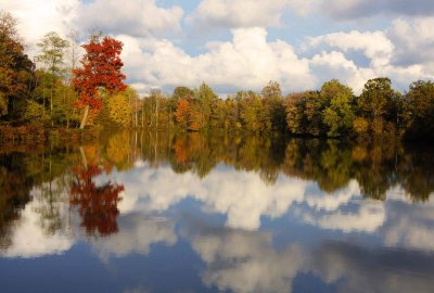 Coldstream Pond Fall Reflections