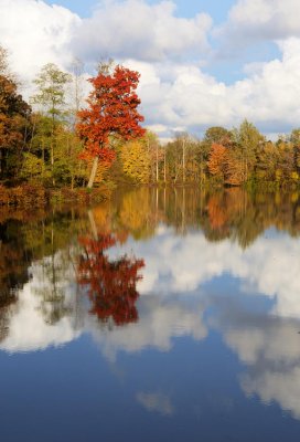 Autumn Reflections