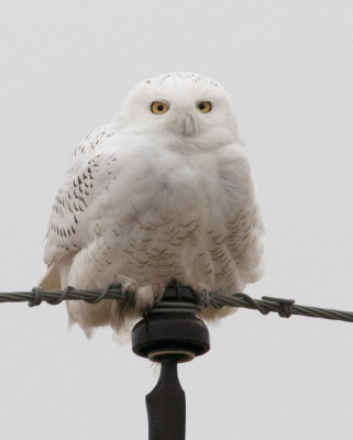 Here's Looking At You