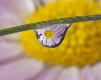 What is in a Water Drop