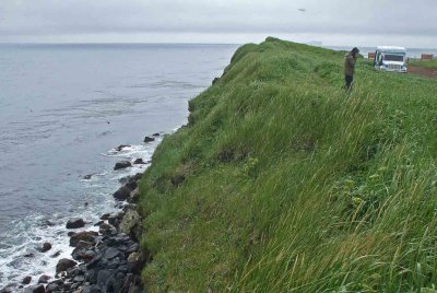 Reef Point