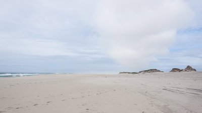 Sable Island beach