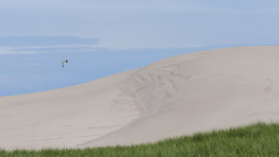 Bald Dune-highest point on the island at 90m