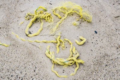 Washed up ropes