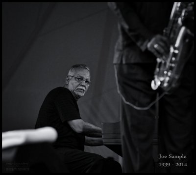 My Moment with Mr Sample DSC_4084.jpg
