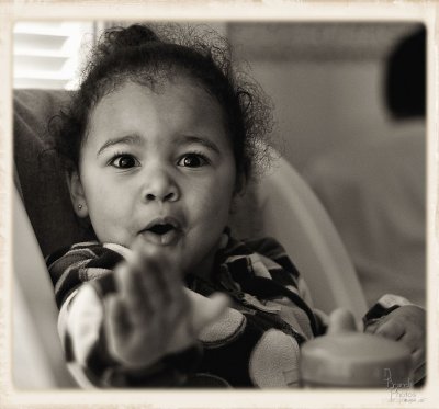 Ava Nooo 2 the paparazzi doneDSC_5264 -1.jpg