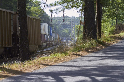 CSX Trains on the old L&N Main Line