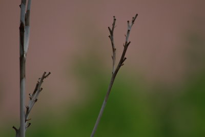Selection_001_0042_MKB_Fotopaly.JPG