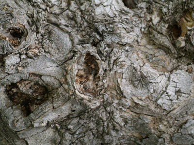 Selection_001_0095_MKB_Fotopaly.JPG