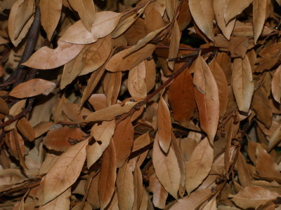 Selection_001_0117_MKB_Fotopaly.JPG
