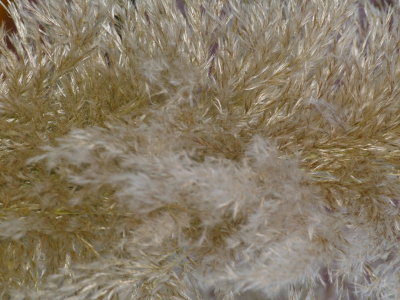 Selection_001_0122_MKB_Fotopaly.JPG