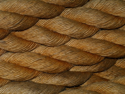Selection_010.JPG