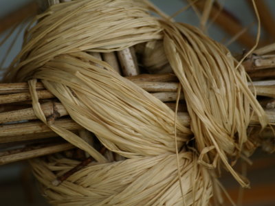 Selection_031.JPG