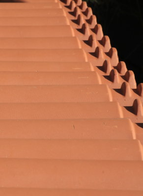 Vir_Zitna_099A8281a.jpg