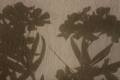 099A0560.JPG