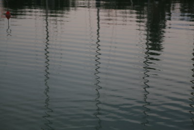 099A4698.JPG
