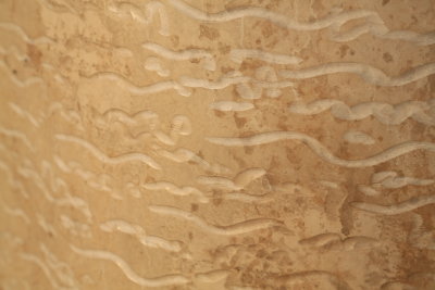099A1660_2.JPG