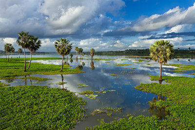 Lagoa da Precabura, Fortaleza, Ceara, 7429.jpg