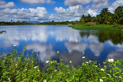 Lagoa da Maraponga, Fortaleza, Ceara, 7473.jpg