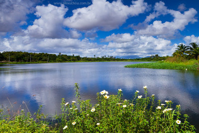 Lagoa da Maraponga, Fortaleza, Ceara, 7478.jpg