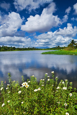 Lagoa da Maraponga, Fortaleza, Ceara, 7483.jpg