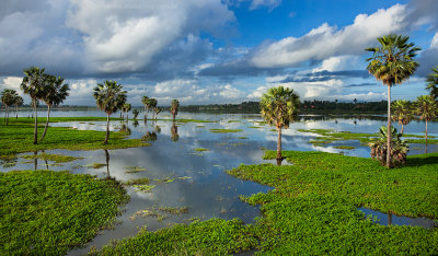 Lagoa da Precabura