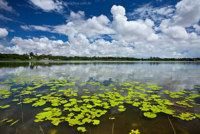 Lagoa da Messejana, Fortaleza, Ceara, 7356.jpg