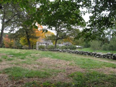 IMG_2290.jpg