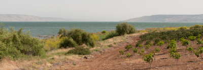 Scenery at Lake Gallilea along the Gospel trail