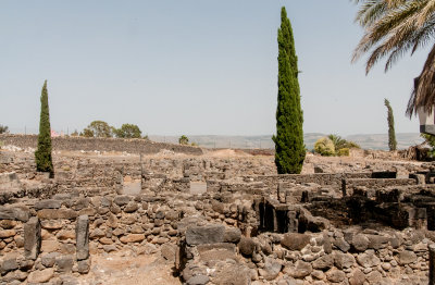 Excavations in Carpanaum