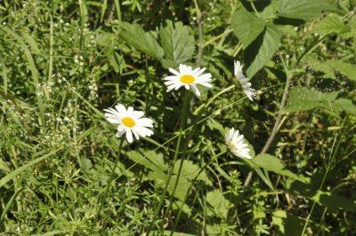 image025.jpg